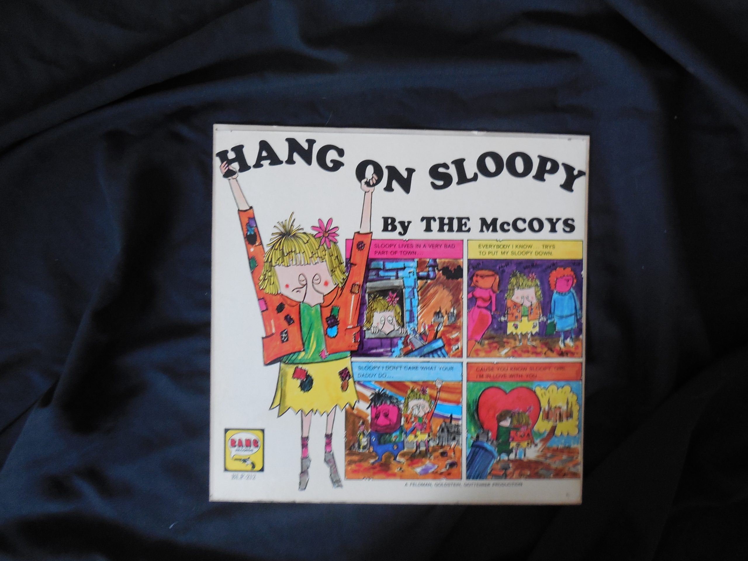 The Mccoys-“Hang On Sloopy” 1965 Promo Counter Display – Very English ...